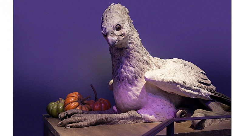 Harry Potter - Warner Bros Studio-tur från London Victoria