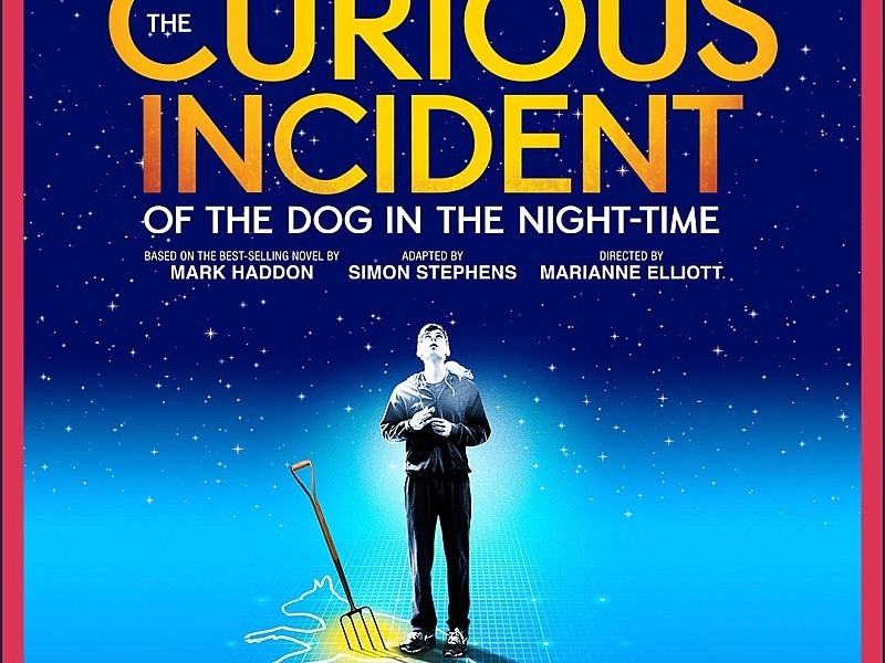 The Curious Incident of the Dog in the Night-Time