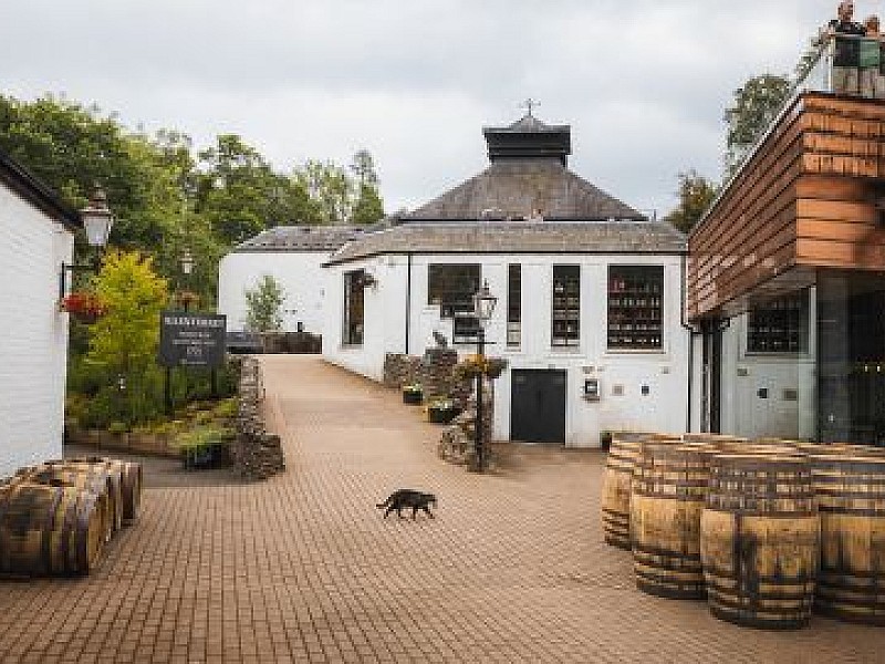 Scottish Glens, Highlands & Whisky Day Tour from Edinburgh