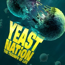 Yeast Nation